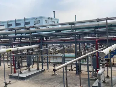 Ammonia Nitrogen Removal Bacteria (Autotrophic)