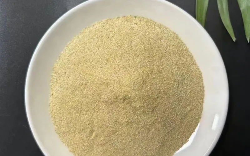 DMF High-Efficiency Removal Bacteria