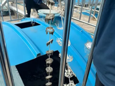 Anaerobic Ammonium Oxidation High-Efficiency Denitrification Solution