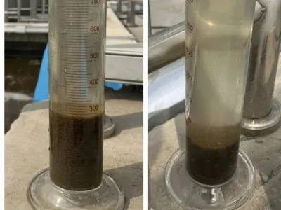 Anaerobic Ammonium Oxidation High-Efficiency Denitrification Solution