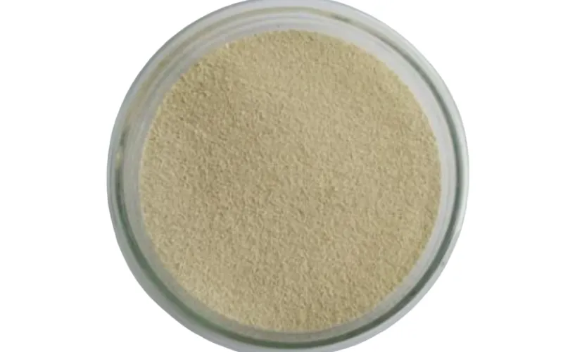 Polyphosphate-Accumulating Bacteria
