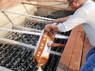 Sulfur Removal Bacteria